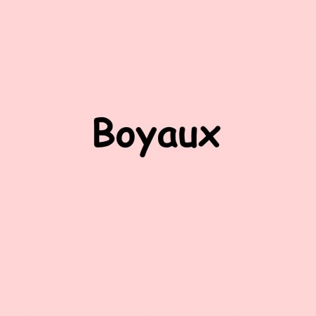 Boyaux