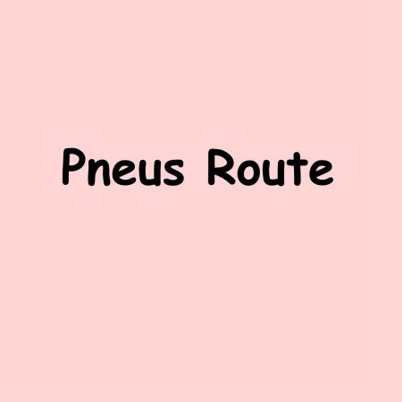 Pneus route